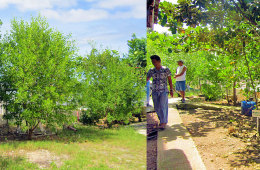 mangrove-walk-banner